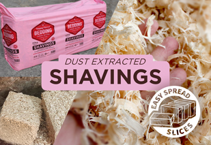 Dust extracted shavings