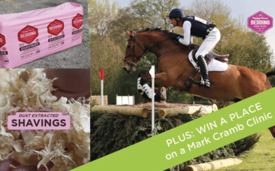 Special offers for long term Happy Horse Bedding customers!